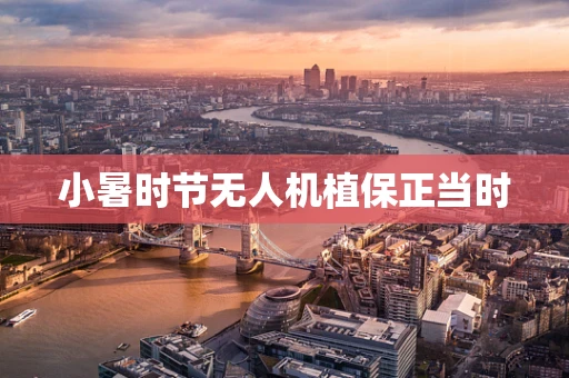 小暑时节无人机植保正当时