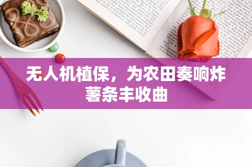 无人机植保，为农田奏响炸薯条丰收曲
