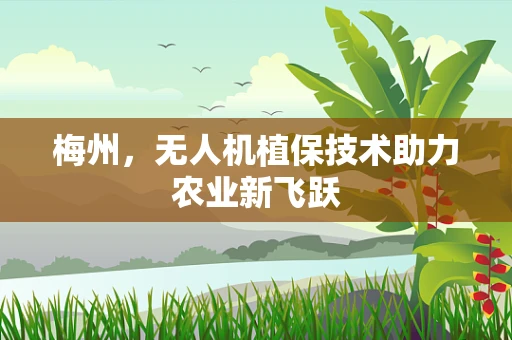 梅州，无人机植保技术助力农业新飞跃
