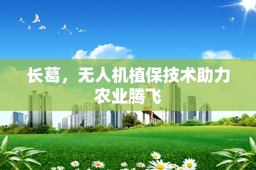 长葛，无人机植保技术助力农业腾飞