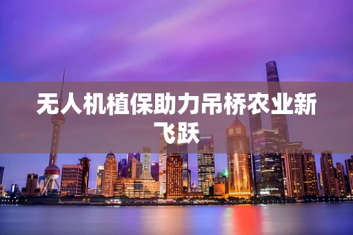 无人机植保助力吊桥农业新飞跃