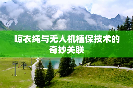 晾衣绳与无人机植保技术的奇妙关联