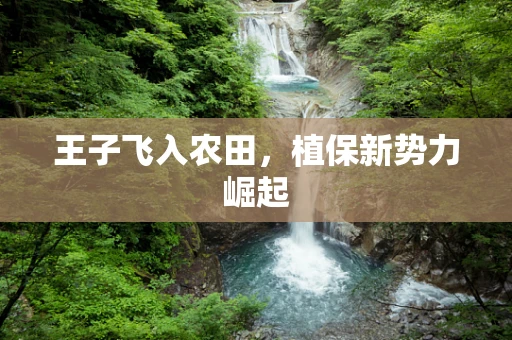 王子飞入农田，植保新势力崛起