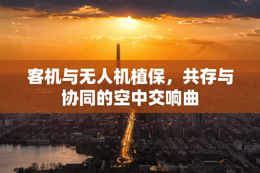 客机与无人机植保，共存与协同的空中交响曲