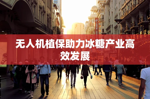 无人机植保助力冰糖产业高效发展