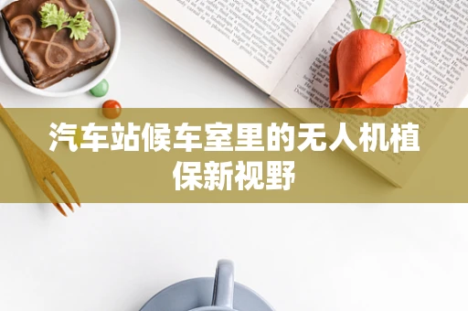 汽车站候车室里的无人机植保新视野