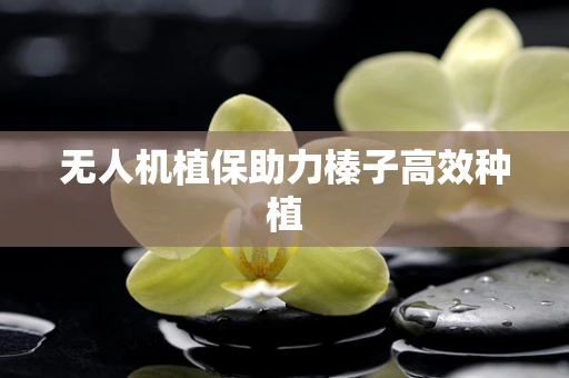 无人机植保助力榛子高效种植
