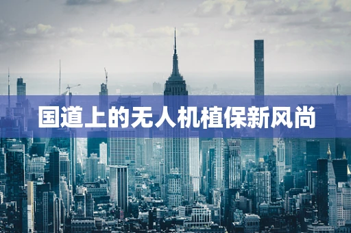 国道上的无人机植保新风尚