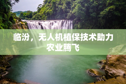 临汾，无人机植保技术助力农业腾飞