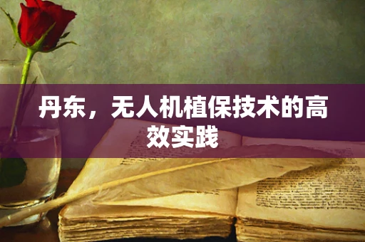 丹东，无人机植保技术的高效实践