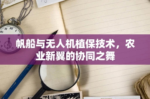 帆船与无人机植保技术，农业新翼的协同之舞