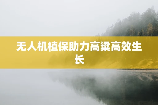 无人机植保助力高粱高效生长