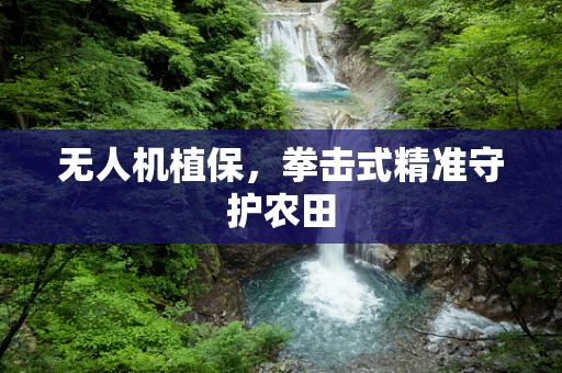 无人机植保，拳击式精准守护农田