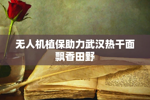 无人机植保助力武汉热干面飘香田野