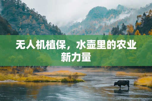 无人机植保，水壶里的农业新力量