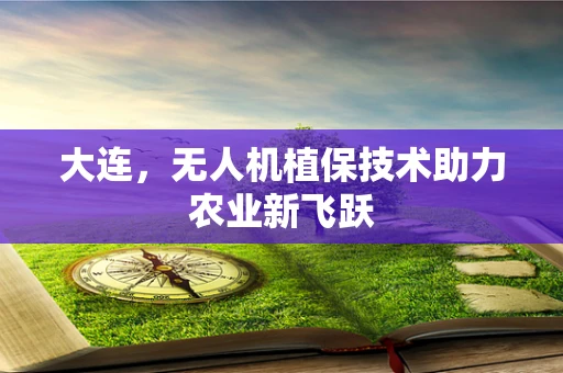 大连，无人机植保技术助力农业新飞跃