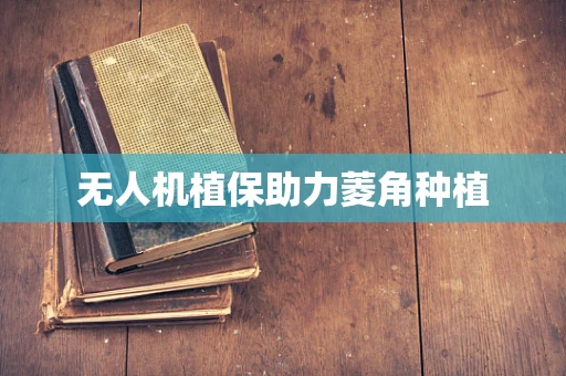 无人机植保助力菱角种植