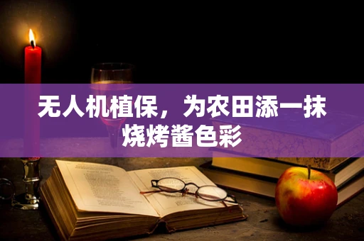 无人机植保，为农田添一抹烧烤酱色彩