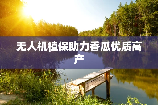 无人机植保助力香瓜优质高产