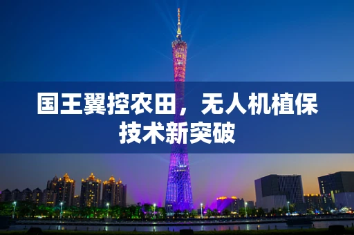 国王翼控农田，无人机植保技术新突破