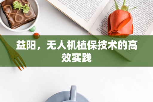 益阳，无人机植保技术的高效实践