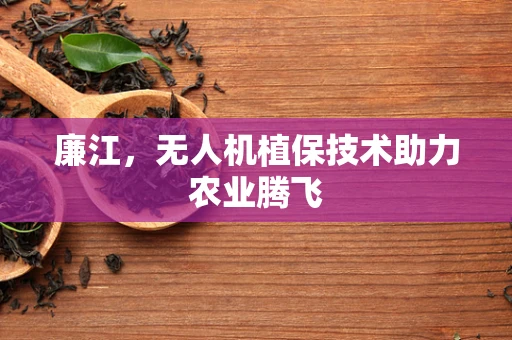 廉江，无人机植保技术助力农业腾飞