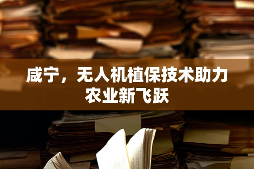 咸宁，无人机植保技术助力农业新飞跃