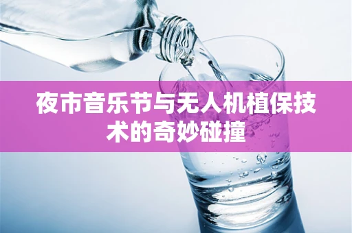 夜市音乐节与无人机植保技术的奇妙碰撞