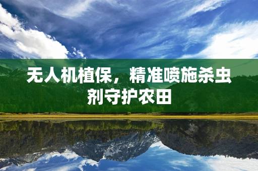 无人机植保，精准喷施杀虫剂守护农田
