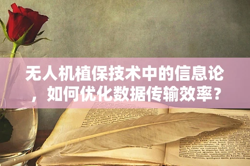 无人机植保技术中的信息论，如何优化数据传输效率？