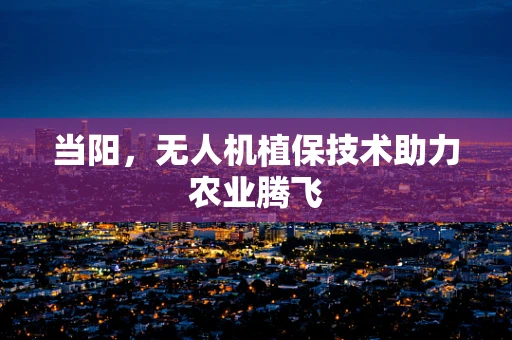 当阳，无人机植保技术助力农业腾飞