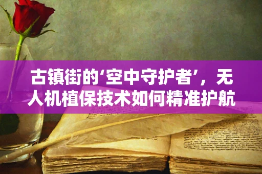 古镇街的‘空中守护者’，无人机植保技术如何精准护航古建筑群？