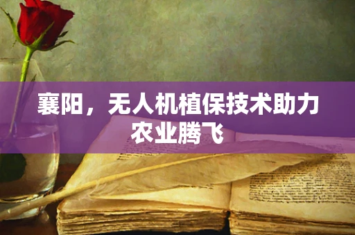 襄阳，无人机植保技术助力农业腾飞