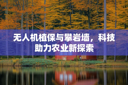 无人机植保与攀岩墙，科技助力农业新探索