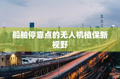 船舶停靠点的无人机植保新视野
