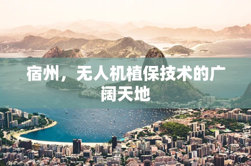 宿州，无人机植保技术的广阔天地