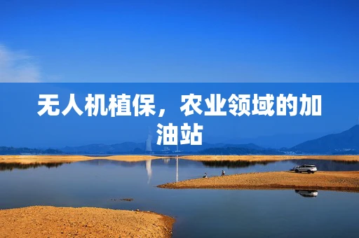 无人机植保，农业领域的加油站