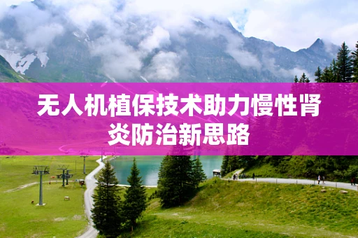 无人机植保技术助力慢性肾炎防治新思路