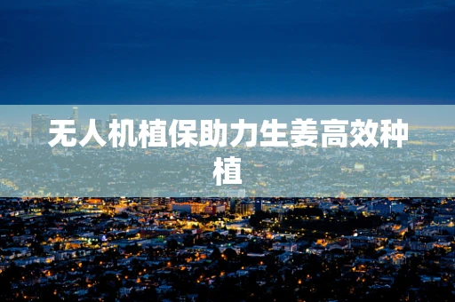 无人机植保助力生姜高效种植