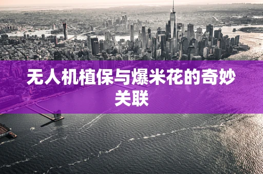 无人机植保与爆米花的奇妙关联