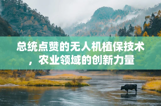 总统点赞的无人机植保技术，农业领域的创新力量
