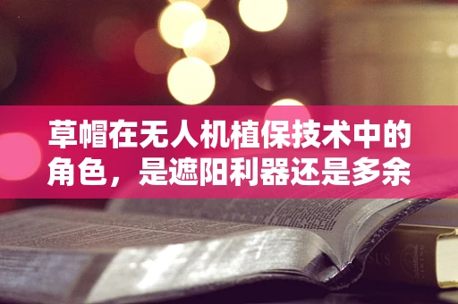 草帽在无人机植保技术中的角色，是遮阳利器还是多余之重？