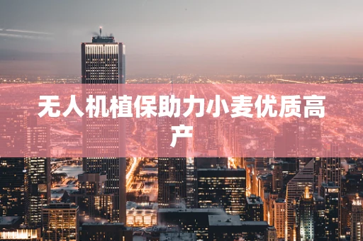 无人机植保助力小麦优质高产
