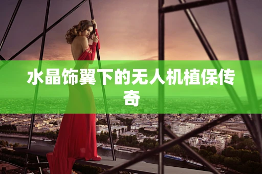 水晶饰翼下的无人机植保传奇