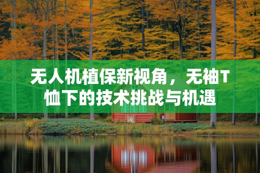 无人机植保新视角，无袖T恤下的技术挑战与机遇