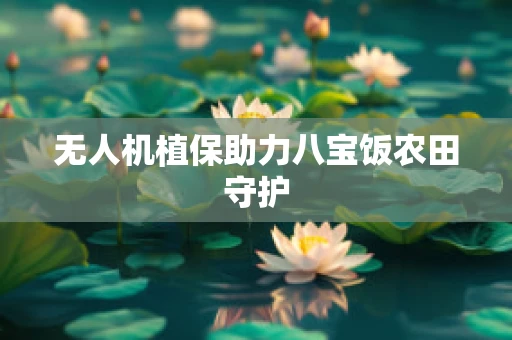 无人机植保助力八宝饭农田守护