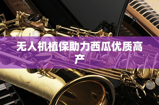 无人机植保助力西瓜优质高产
