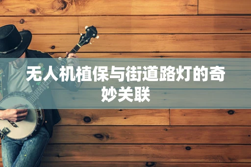 无人机植保与街道路灯的奇妙关联