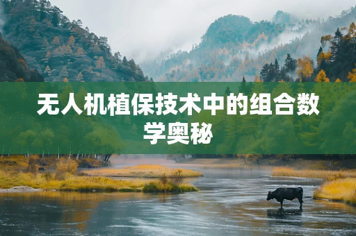 无人机植保技术中的组合数学奥秘