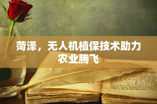 菏泽，无人机植保技术助力农业腾飞